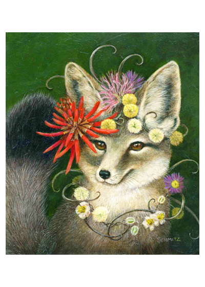 Kit Fox in Coral Kit Fox in Coral